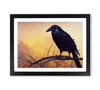 Masterful Crow Bird Framed Print | A4 Black Framed Wall Art | Ready to Hang | Modern Animal Picture | Living Room Bedroom Lounge Office