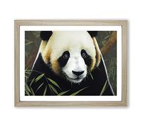 Masterful Panda H1022 Framed Print for Living Room Bedroom Home Office Décor, Wall Art Picture Ready to Hang, Oak A4 Frame (34 x 25 cm)
