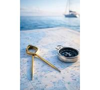 Mastering the Art of Small Sailboat navigation (The Complete Sailor)