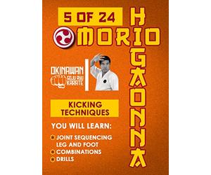 Mastering Traditional Okinawan Goju-Ryu Vol.5 - Kicking Techniques (CP-0286)