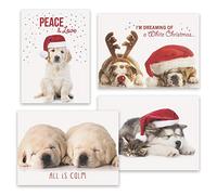 Masterpiece Studios 16-Count Boxed Assorted Christmas Cards, 4 each of 4 Different Designs, 6.25" x 4.62", Puppy Love (943500AST)