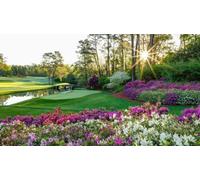 Masters Championship National National Golf Course Landscape Large Jigsaw Puzzles for Adults Educational Toy for Creative Games Entertainment Wooden Puzzles Home Decor._300pcs