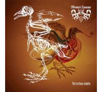 Master's Hammer / Blackosh - Split 2014 [Vinyl LP] [VINYL]