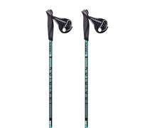 Masters Nordic Walking Poles