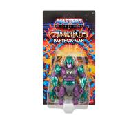 Masters of the Universe Origins 5.5 inch Thunder Cats Panthor Man Action Figure