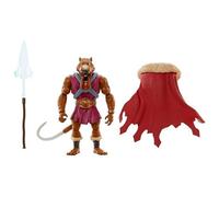 Masters of the Universe Turtles of Grayskull Deluxe Action Figure (Splinter Skull)
