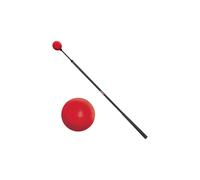 Masters Swing Tempo Trainer Whip