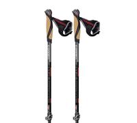 Masters Training Speed Poles