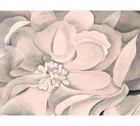 Masterworks - Whitney Museum of American Art - Georgie O'Keeffe - The White Calico Flower