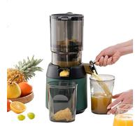 Masticating Juicer Portable Cold Press with Wide Feeding Chute, Efficient Slow Juicer for Fruit & Vegetable Juice Extraction, Easy to Clean and Use