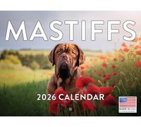 Mastiff Calendar 2026 Wall Monthly