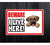 Mastiff Sticker Beware I Live HERE House Home Window Door Porch Printed Decal