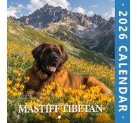 Mastiff Tibetan 2026 Wall Calendar: A stoic companion of Himalayan heritage in majestic settings