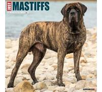 Mastiffs 2025 Wall