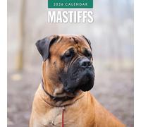 Mastiffs - 2026 Square Wall Calendar - by Red Robin Publishing