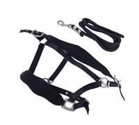 MasYosh Horse Halter, Adjustable Soft Padded Polyester Halter with 2m Leash, for Training Walking Jogging Horses (S(7.8x6.5x2.6cm/3.1x2.6x1in))