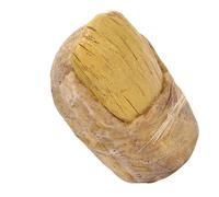 Masyrt Lifelike Toe Resin Sculpture, Weather Resistant, Hand Painted, Nordic, Industrial, Nature Decor
