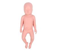 Masyrt Newborn Baby Model Newborn Model in High Simulation Educational Plastic Simulator Model Baby Simulator for Teaching