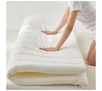 Mat Futon Mattress, Portable Foldable Design, for Guests, Dormitories, Camping, Sofas, Loungers
