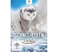 MAT HAMILTON / FERGUS BEELEY / SCHNEE-EULEN-SCHWINGEN ÜBER DER AKTIS DVD NEW