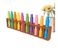 Match The Bottle Color Game - Memory Training Fun Color Match Gameplay - Board Game Group Challenge - for Travel Camping Party Night Classroom Backyard Beach