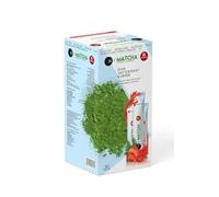 Matcha Spade Japanese Tea 20 Piece X 10 G Slim Fit Antioxidant Detox 200Gr Anti-Aging Traditional Healthy Tea dry Powder Tea