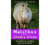 Matchbox and the Cheeky Sheep: Volume 4 (Putting in the Magic)