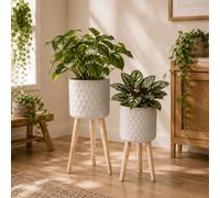 matches21 HOME & HOBBY Flower Pots Set of 2 Beige Diameter 24.5 x 60 cm and 28 x 67.5 cm with Feet - Modern Planters for Indoor Use