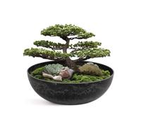 matches21 Plant Bowl for Outdoor Use - Vintage Decorative Bowl Black Marbled as Flower Pot Plant Pot - Bowl in 25 x 9 cm as Garden Bird Bath Balcony Decoration or Cemetery Grave Bowl