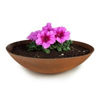 matches21 weatherproof planter for outdoors - large XXL decorative bowl in rust metal look as flower bowl - Flat garden bowl in 45 cm for flowers, bonsai or cemetery grave decoration