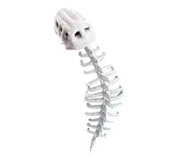 Matching Family Dinosaur Skeleton Costume Unisex Pajamas with Tail Soft Dinosaur Bone Shaped Hooded Jumpsuit for Holiday Events and Stage Shows