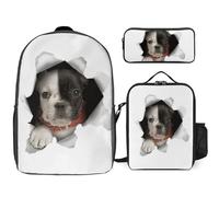Mateju School Bag, Puppy Print, Kids Backpack, 3 in 1School Bags for Girls with Lunch Bag and Pencil Case Boys Backpack,for School Sports Travel Holiday Teenagers School Bags (Puppy 6)