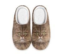 Mateju Slippers for Women, Winter Warm House Slippers, Cat Print Soft Plush Cozy Booties Non-Slip Slip-on Shoes for Girls Outdoor Indoor Home Shoes, for Women Girlfriend Mother