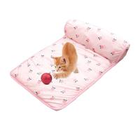 Matelas de refroidissement pour animaux de compagnie - Couverture rafraîchissante décorative de 450 g, design imprimé mignon, breathing glacée, coussin d'oreiller confortable | Été Camping ex