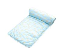 Matelas de refroidissement pour animaux de compagnie - Couverture rafraîchissante decorative de 450g, design imprimé mignon, glacée respirante, coussin d'oreiller confortable | Été Camping ex