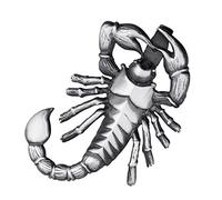 Materia Jewellery Men’s Scorpio Necklace Pendant, 24 mm x 43 mm, 925 silver, Zodiac Sign, for Chains up to 4 mm, with Box #KA-62