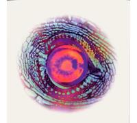 Material - The Road To The Western Lands