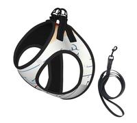 Math Formula Print Soft Mesh Dog Harness and Leash Set Pet Puppy Cat Comfort Padded Vest No Pull Harnesses