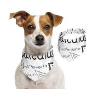 Math Geometry Geek Calculus,Pet Bib Scarf Cats Dog Bandana Dogs Towel Bib Adjustable Pet Scarf,S