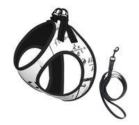 Math Geometry Geek Calculus,Pet Harness,Adjustable Reflective Dog Harness,Pet Leash Vest,L