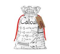 Math Geometry Geek Calculus Print Christmas Bags with Drawstrings, Christmas Treat Pouches, Party Favor Bags M