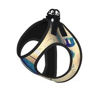 Math Geometry Geek Calculus Printing Dog Summer Harness With Leash Set,Adjustable And Reflective Step-In Puppy Pet Vest Harnesses