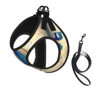 Math Geometry Geek Calculus Printing Dog Summer Harness With Leash Set,Adjustable And Reflective Step-In Puppy Pet Vest Harnesses