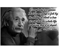 Math Posters Science Posters Albert Einstein Quote Poster | Albert Einstein Poster | Physics Poster | Science Posters for Classrooms | Motivational | Growth Mindset Posters | 18 Inch By 12 Inch | P010