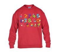 Math Symbol Number Boys Sweatshirt Numbers World Book Day Funny Kids Girls Unisex School Gift Jumper Red - Youth X-Small (Age 3-4)