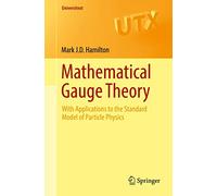 Mathematical Gauge Theory: With Applications to the Standard Model of Particle Physics (Universitext)