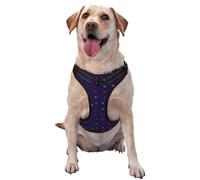 Mathematical Symbols Pattern Dog Harness - Lightweight,Soft,Adjustable Small Harness and Leash Set, Suitable for Puppy Small and Medium-Sized Dog-X-Large