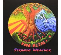 Mathews, Dylan & The Flips - Strange Weather