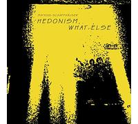 Mathias Schaffhäuser - Hedonism, What Else [VINYL]