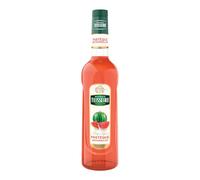 Mathieu Teisseire Watermelon Syrup 700ml